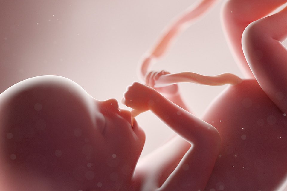 fetal health سلامت جنین طب سنتی