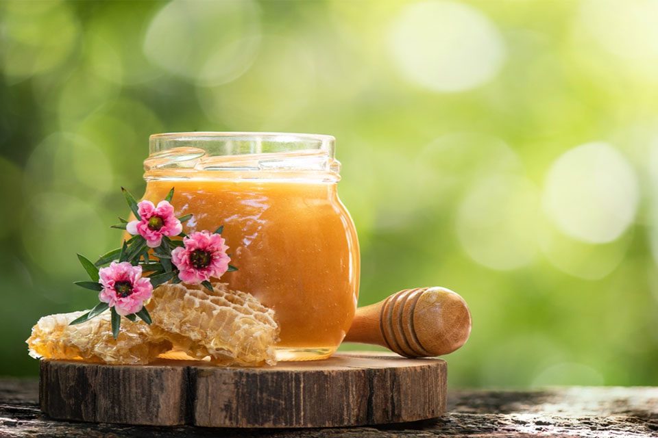 honey benefits خواص عسل